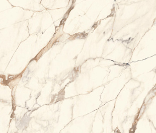 Плитка облиц. керамич. CALACATTA GOLD SILK PV6 120X120(A),  8.5мм, 120X120 (100331028)