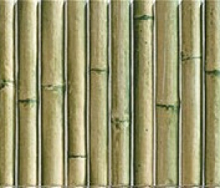 Bamboo Green 15/15