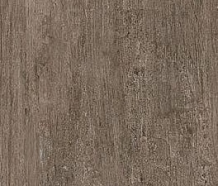 Плитка из керамогранита Kerama Marazzi Акация 20.1x50.2 коричневый (SG412900N)