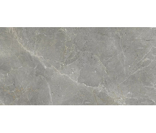 Augustus Grey Rect. Natural 60x120 
