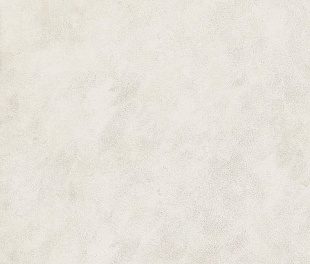 610010004160 Форум Вэйв Полар 60X120