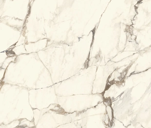 CALACATTA GOLD POL.PV6 120X120(A)