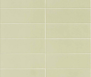 Jungle Mint 10х30 (87уп)