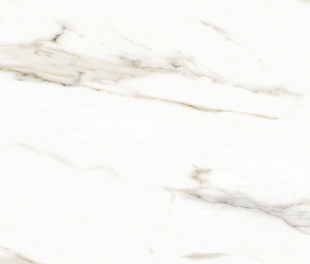 Marmol Carrara Polished 60x120