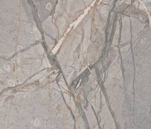 Amaranto Grey Rett 60х120