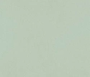 fTDV True Color Matcha 50x120 RT