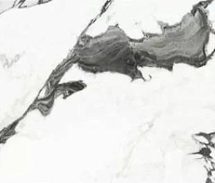 60X120 PANDA MARBLE WHITE PLSH RCPR(1ST) (P19707.3) 60х120