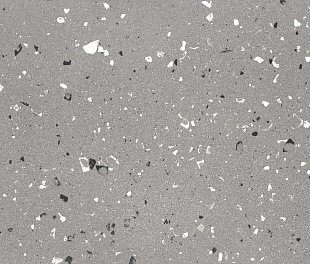 Terrazzo Plus Fossil (Fossil Mat) 60x120