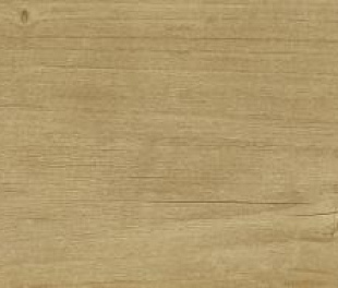 QUERCUS MIELE 22X120