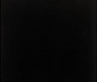 20202 Плитка EVOLUTION NEGRO MATE 15x15 см