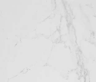 Carrara Blanco Brillo 43,5x43,5 - P14590361