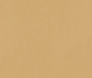 fTDS True Color Caramel 50x120 RT