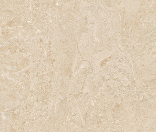 ODYSSEY CREAM REC.GLASS (T)C 60X120