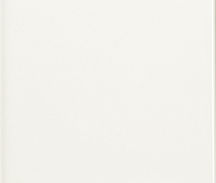 Liso Brillo Blanco 20x20