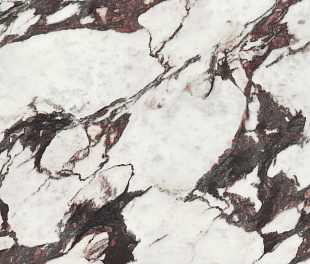 MEDICEA MARBLE POL RECT 60X120