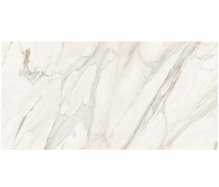 Marble Calacatta Gold 60х120