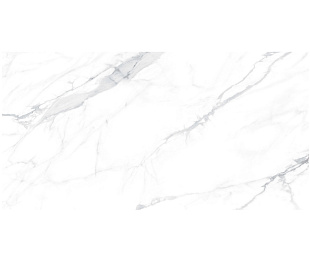 Керамогранит PAOLA Bianco Polished 60x120