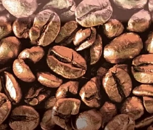 Decor Coffe Beans 03 10X30