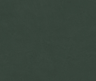 SR09 60x120x9 Непол.Рект. (Керамический гранит)