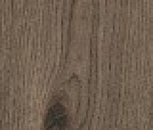 MN97 Vivo Castano Rett. 20x150