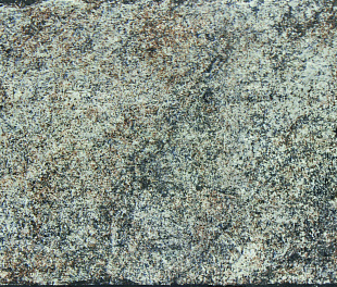Atica Greyed плитка настенная 154x310 мм/57,288