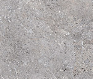 GOLDEN AGE GREY 60x120