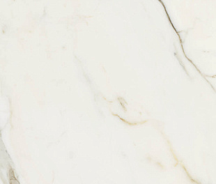 CANOVA CALACATTA GOLD LAP RET 60x120  8,5 мм