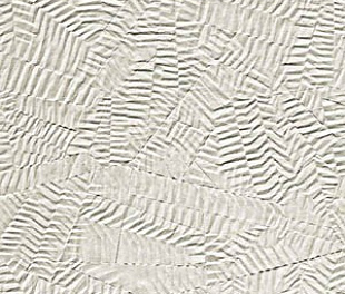 fOXM Bloom Star White 80x160 RT