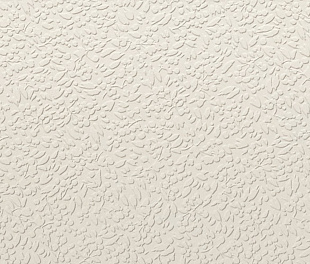 NISUS NEVE RECT 60X120