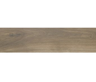 Керамическая плитка OREGON ROBLE RECT 20X120