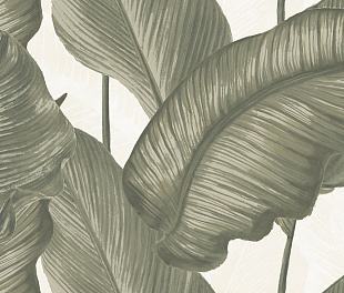 LUDO GIADA DEC BANANO RET 60x120 7 мм