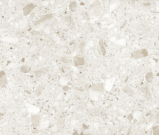 Terrazzo Beige 60х120