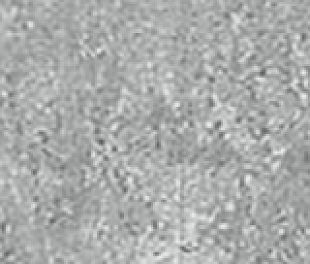 Плитка из керамогранита Estima Traffic 7х60 серый (Skirting/TF03_NS/7x60)