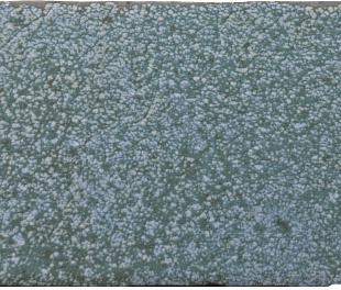 Настенная плитка OKEN Green Brillo 7,5x30