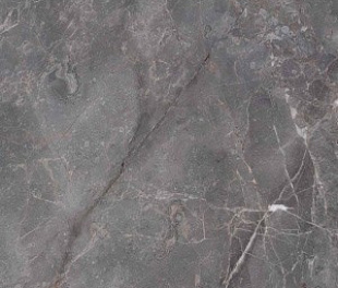 7170 Elite Grey Polished 60x120