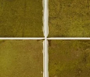 Керамическая плитка WB NAIROBI NOA MOSS 10X10