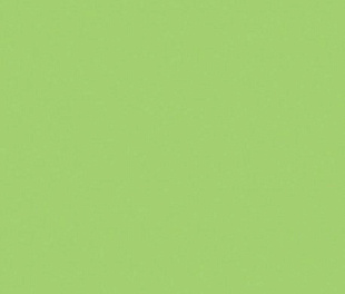 2I0O КерГранит GREENCOLORS LIME 20x20 см
