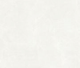 KANZAS LIGHT GRAY MATT 80x160