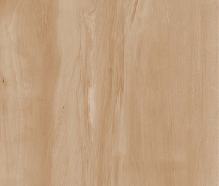 Керамогранит Realistik Paint Wood Bone Gloss 60x120 (1,44)