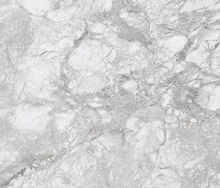 230167 Polar Grey Polished 60x120