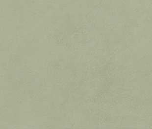 Плитка облиц. керамич. BOOST EXPRESSION OLIVE  50X120,  8.5мм, 50x120 (AYR7)