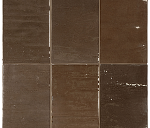 Плитка керамическая настенная 33110 MAREA Seal Brown 10х15 см