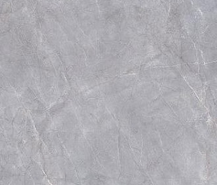 Плитка из керамогранита Kerama Marazzi Риальто 119.5x238.5 серый (SG590200R)