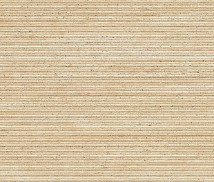 Taranto Gold Line 59,6x150
