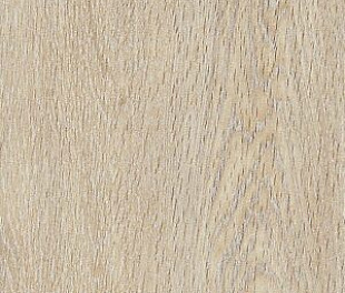 20*120 SWEDEN HONEY M