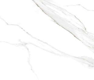 Satvario Calacata Polished 7MM 60x60