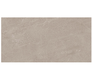 Violin Mocha 60х120