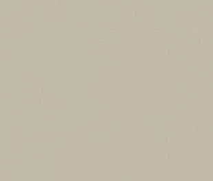 610010004158 Форум Слим Дезерт 60X120