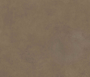 Плитка из керамогранита Simpolo Simpolo 120х278 коричневый (MPL-060344)