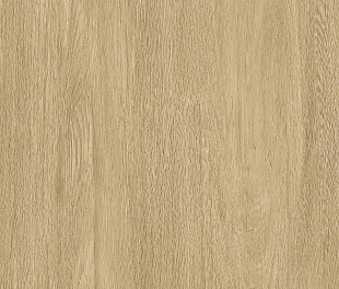 Керамогранит Realistik Alderis Beige Matt 60x120 (1,44)